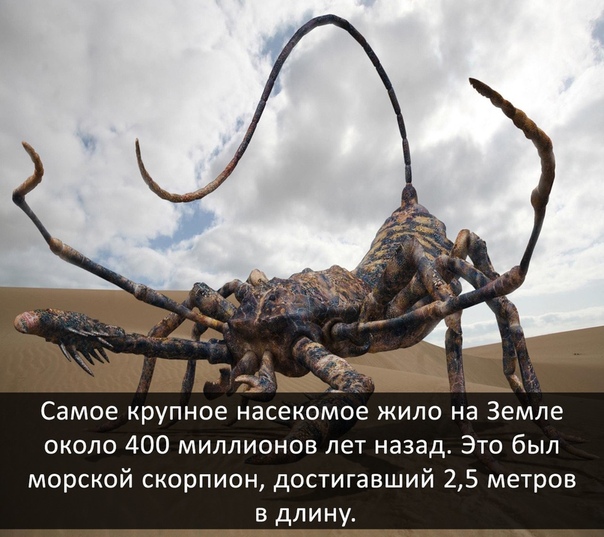 Запись от 5.06.2019 | Наука
