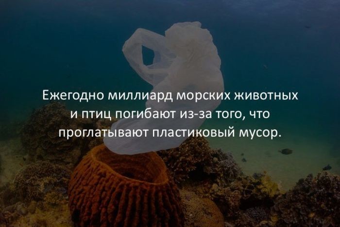 Запись от 18.07.2019 | Наука