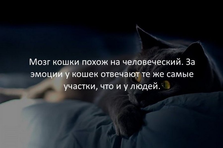 Запись от 17.06.2019 | Теперь я знаю