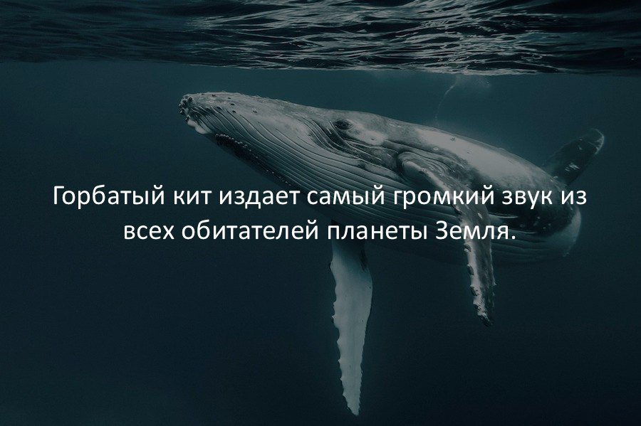 Запись от 20.06.2019 | Теперь я знаю