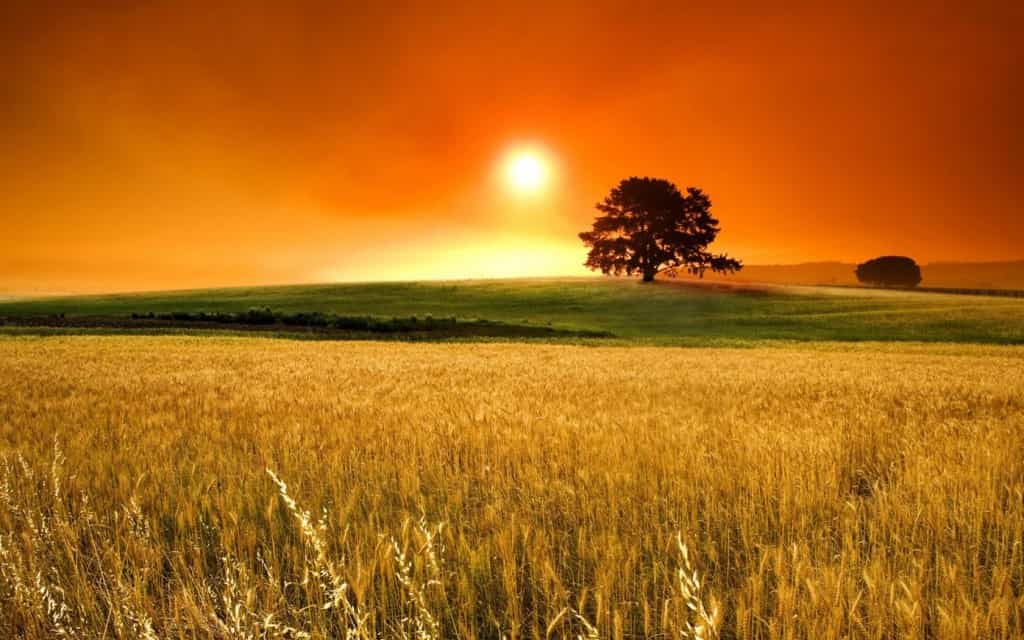 Закат | Лучшие фото