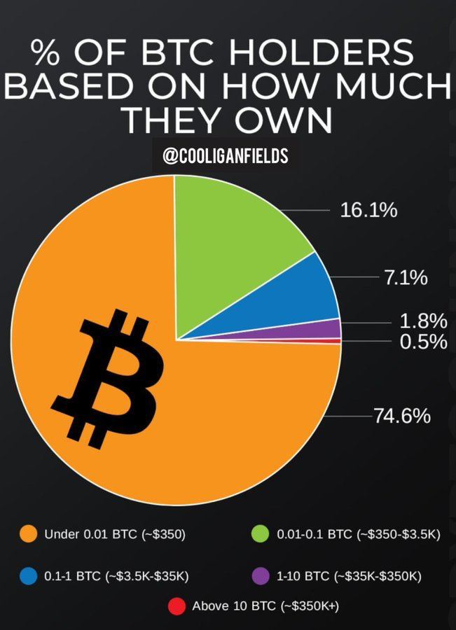 Только 2,3% держателей биткоина могут похвастаться тем, что у них на кошельке | КриптоКурс