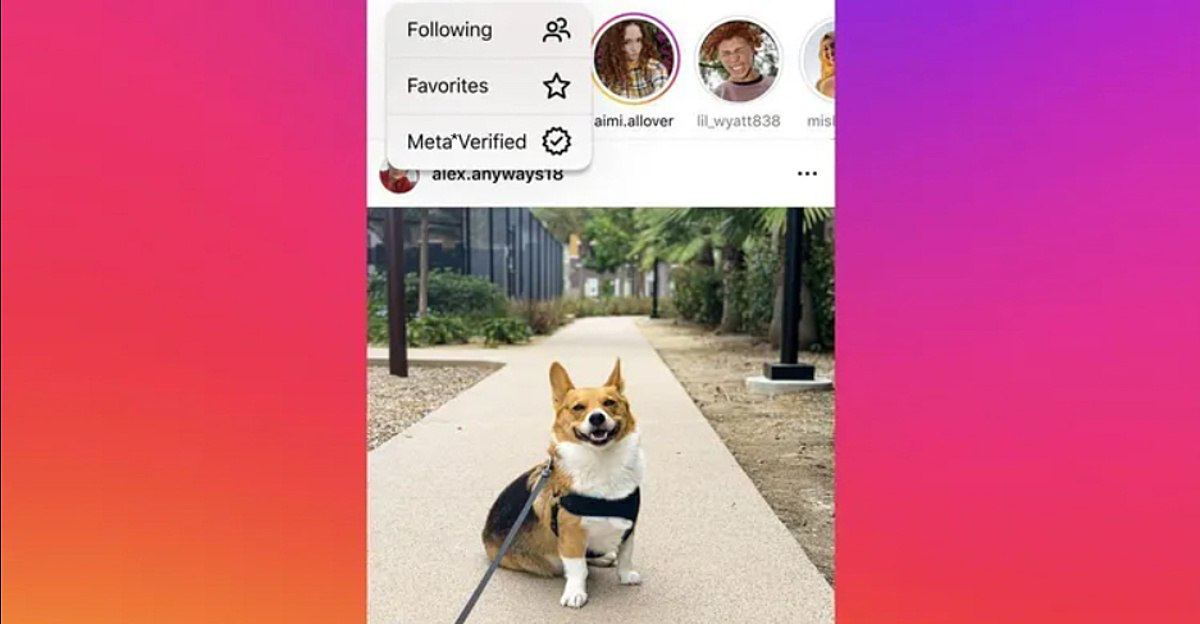 Instagram тестирует переключатель, по которому пользователь будет видеть публ | Новости  / BWeek News