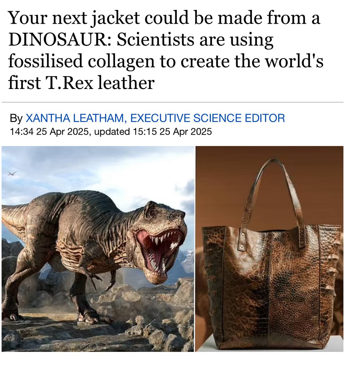 Учёные воссоздали кожу T. Rex не для клонирования динозавров, а для одежды | Наука