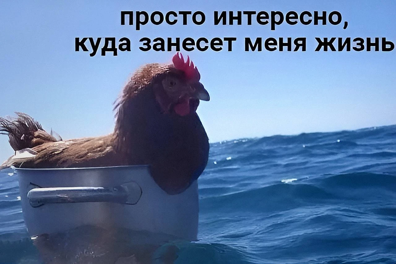 Учёные выяснили: даже короткие поездки способны улучшать качество ЖИЗНИ. | Наука