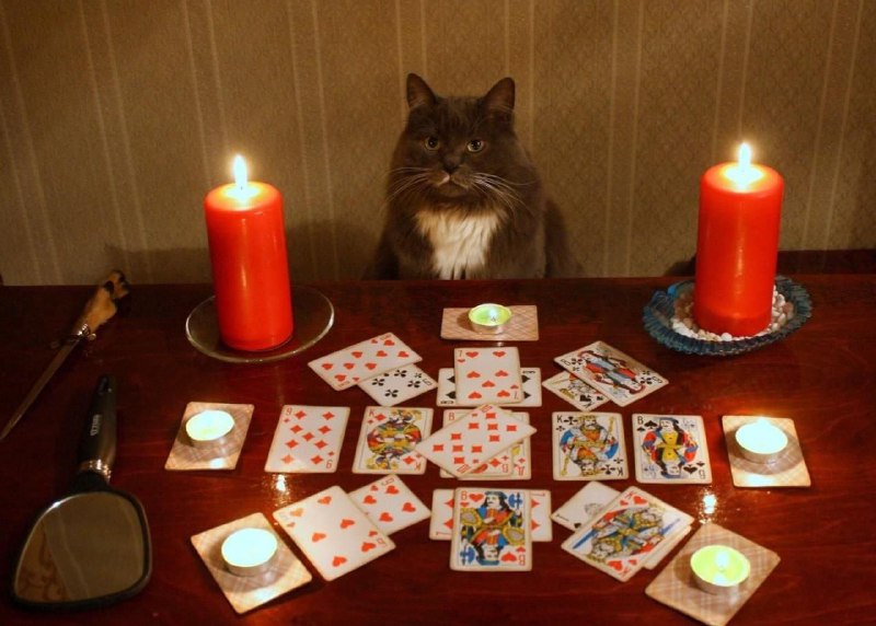 🃏Почти каждый десятый россиянин (9%) прибегает к эзотерическим услугам для оп | Тревожные новости