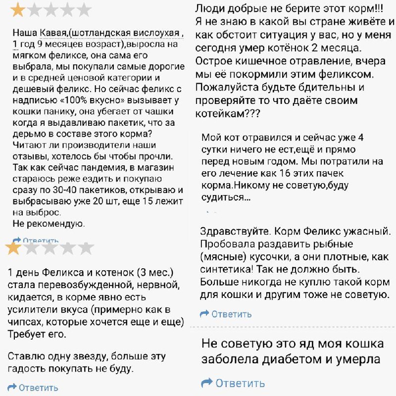 Россияне сообщают о проблемах со здоровьем у кошек после корма Felix — рвоте | Тревожные новости