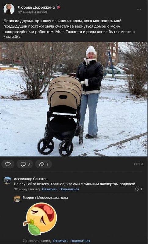 Депутат из Тольятти может лишиться поста из-за родов жены в Чили | Тревожные новости