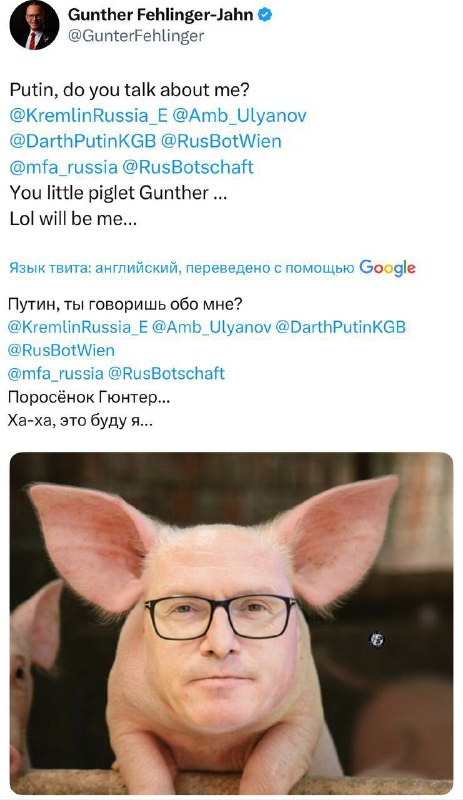 Я — та свинья, о которой говорит Путин, — председатель Австрийского комитета | Тревожные новости