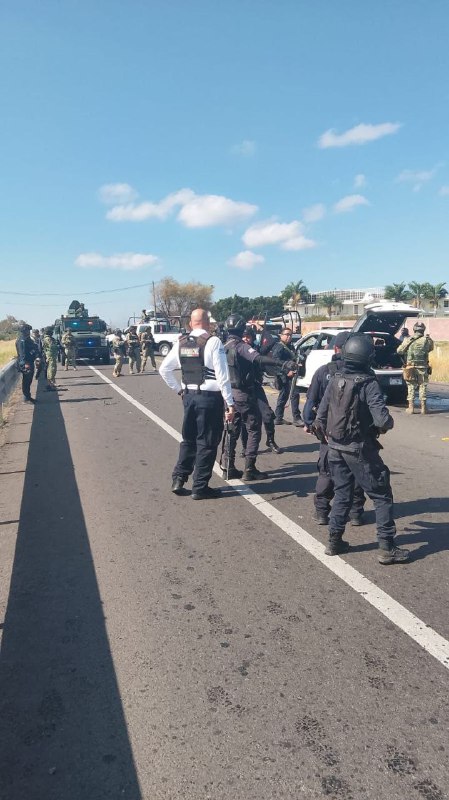 В Мексике объявлен красный уровень опасности. "Картель нового поколения Халис | Тревожные новости