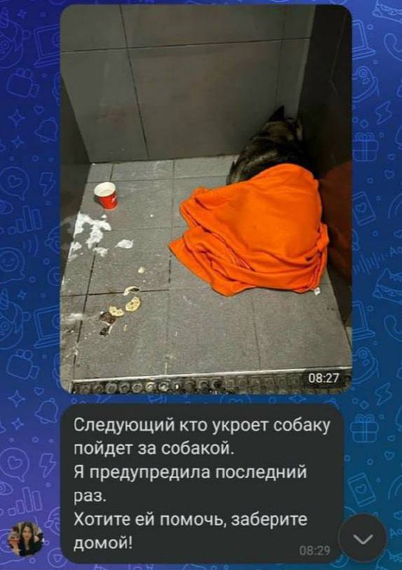 «Додо Пиццу» массово отменяют по всей России — сеть уволила курьера, который | Тревожные новости