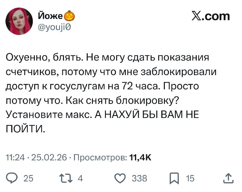 Россиянам ограничивают доступ к Госуслугам без установки Max | Тревожные новости