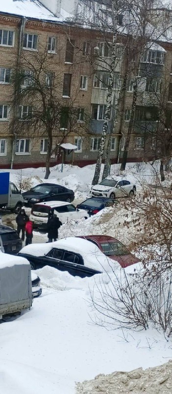 В Подольске погиб 11-летний мальчик — его засыпало снегом | Тревожные новости