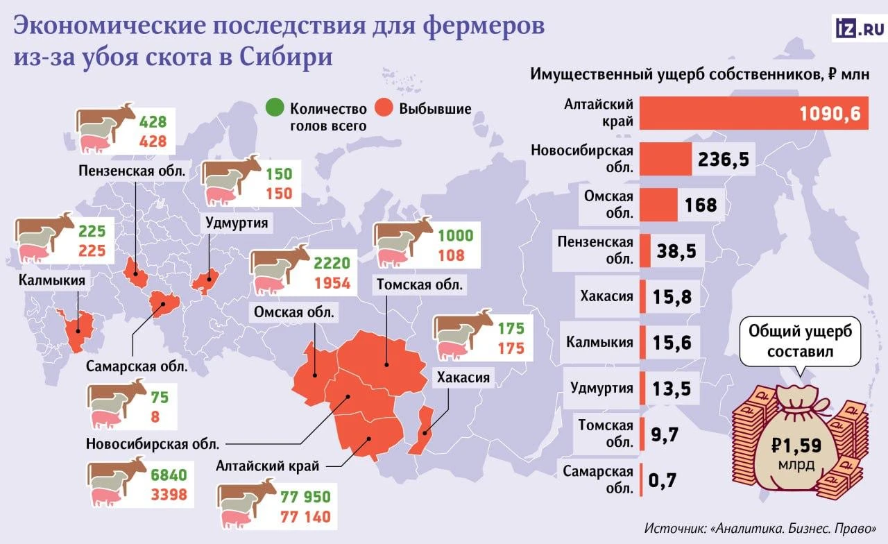 Ущерб от массового убоя скота в Сибири превысил 1,5 млрд рублей. Ещё около 36 | Тревожные новости