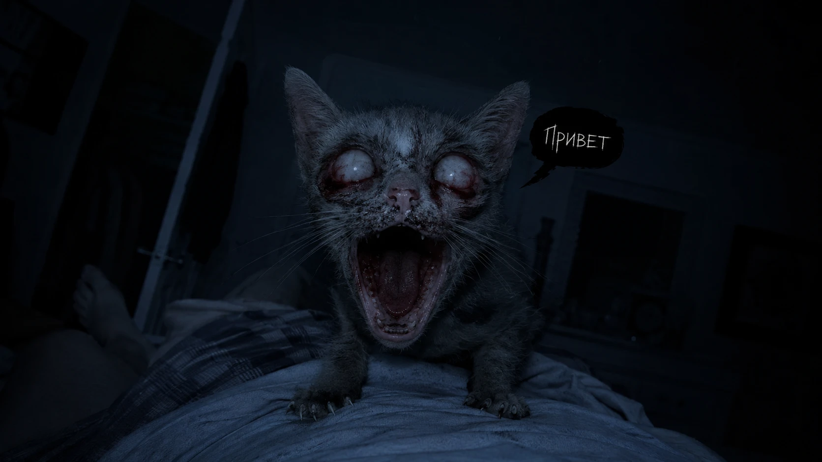 Кот-призрак | Страшные истории