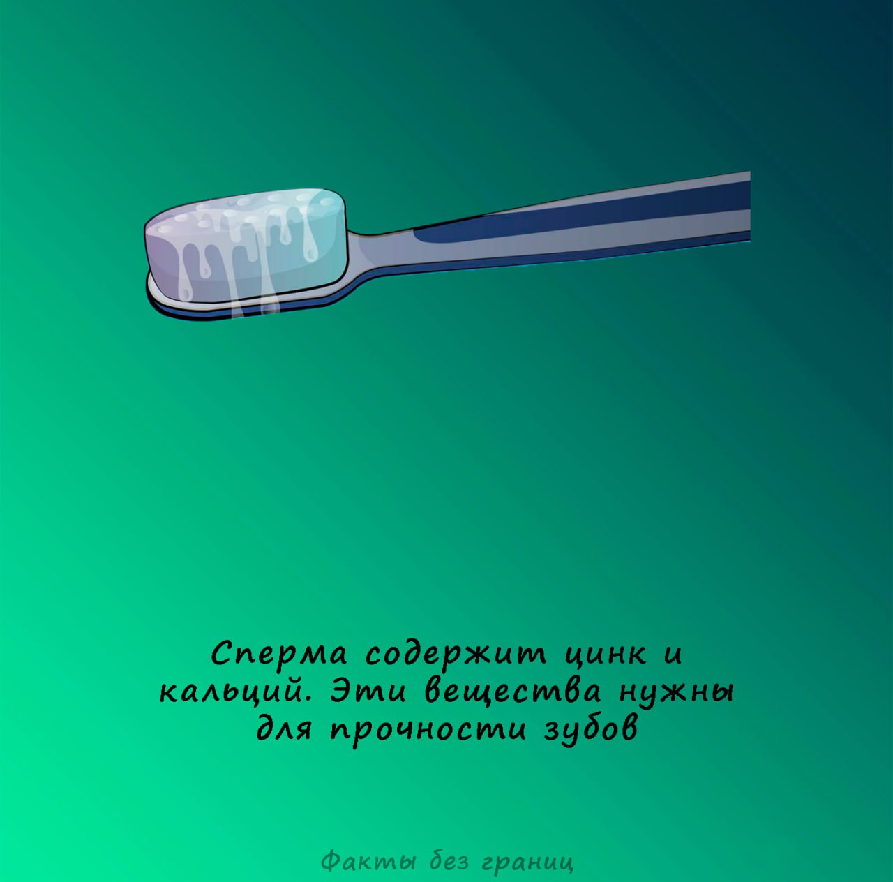 Цирк и кальций содержится в сперме | Интимные Факты