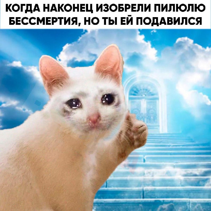 Люди могут стать бессмертными уже к 2039 году, уверен миллиардер-биохакер Бра | Бизнес наизнанку