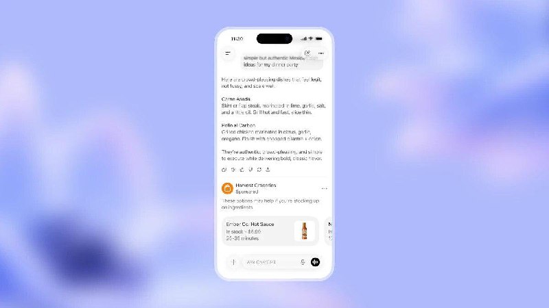 OpenAI установила цену за показ рекламы в ChatGPT в размере около $60 за 1000 | Бизнес наизнанку