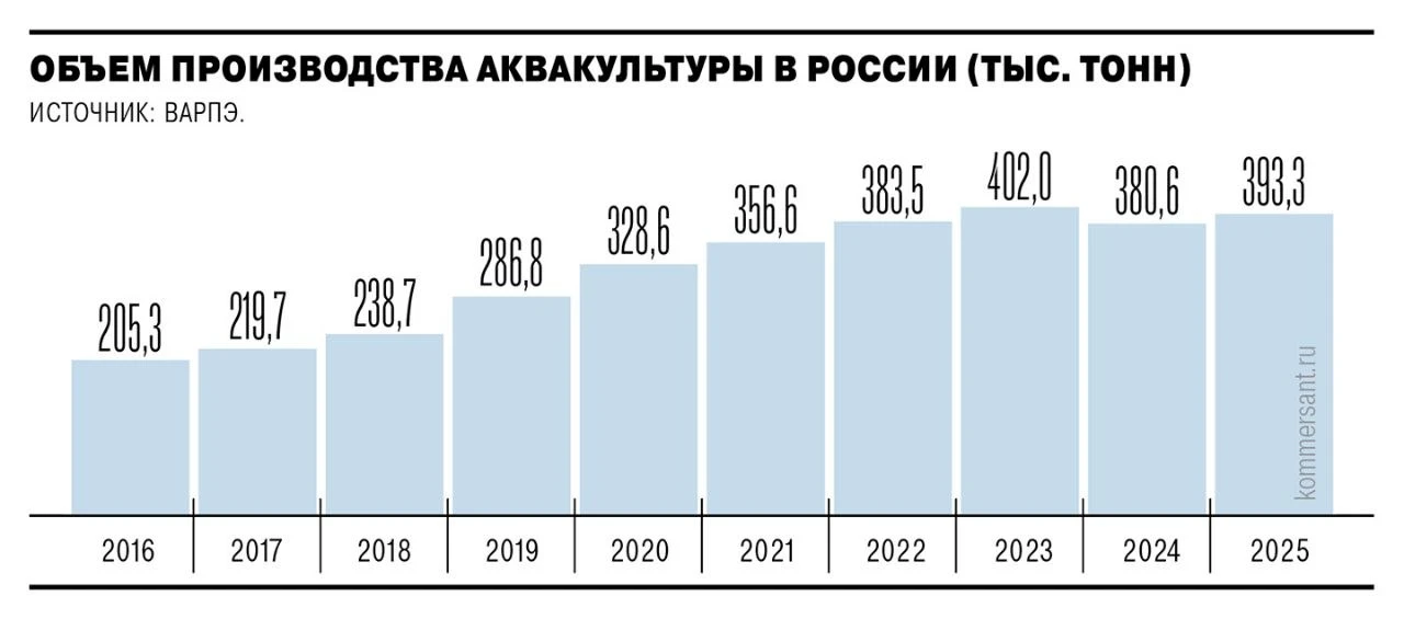 Коммерсантъ: В 2026 году производство аквакультуры в России может снизиться н | Бизнес наизнанку