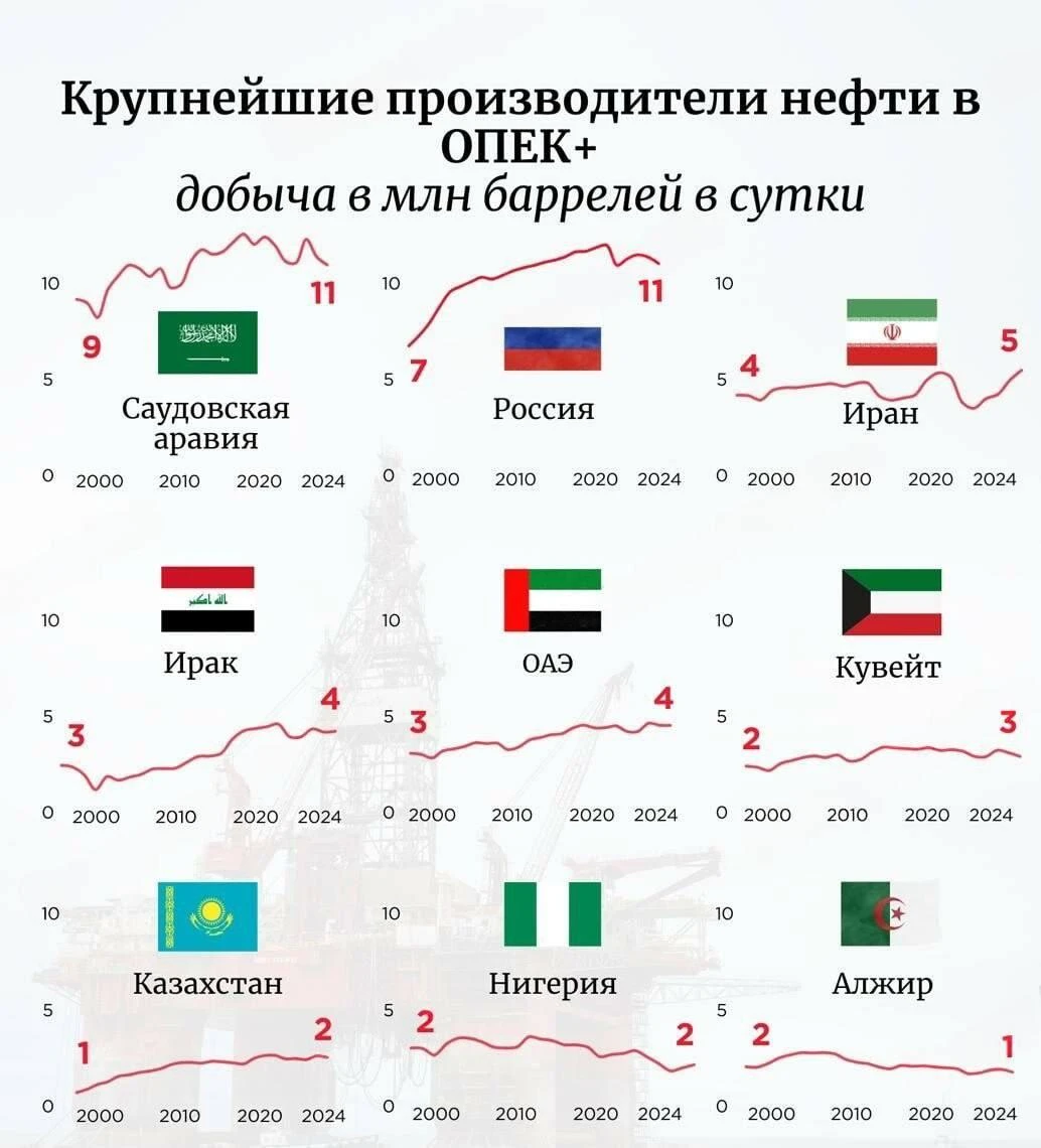 ОАЭ выходят из ОПЕК и ОПЕК+ через 3 дня | Бизнес наизнанку