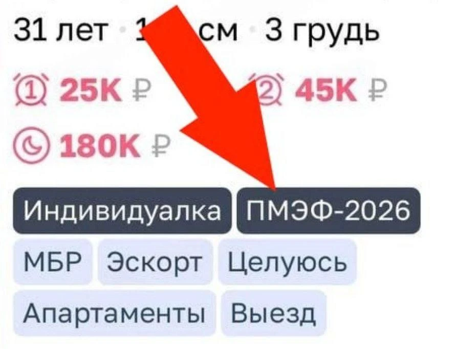 Проститутки начали готовиться к Петербургскому международному экономическому | Бизнес наизнанку