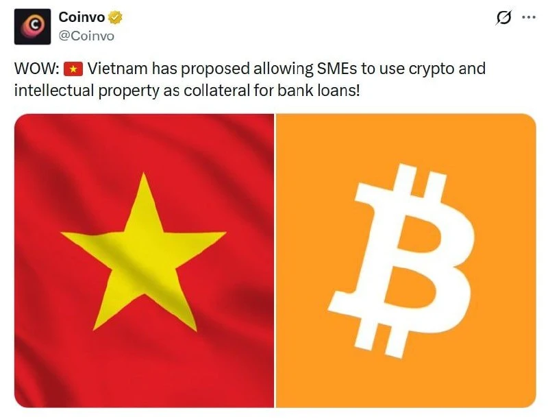 Вьетнам предложил разрешить малым и средним предприятиям использовать криптов | Бизнес наизнанку