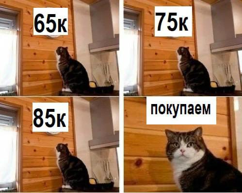 Кто уже закупился? | КриптоКурс