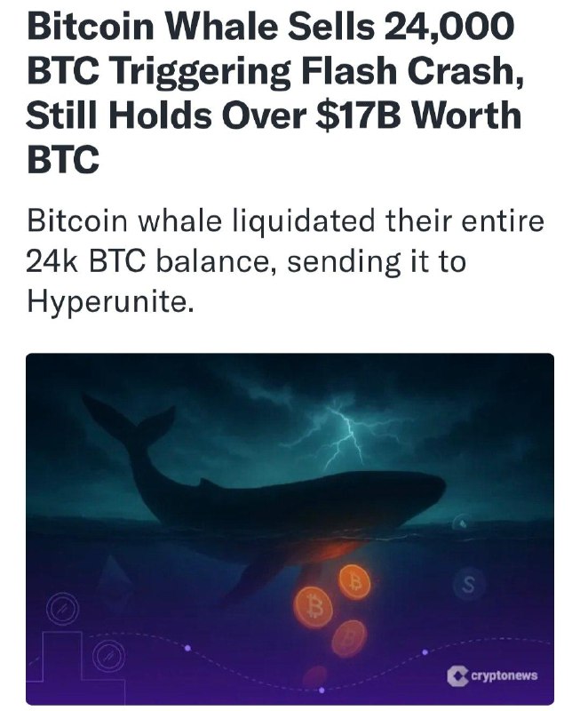 Кит скинул 24 000 BTC на $2,7 млрд (225 млрд ₽) — биткоин мгновенно рухнул на | КриптоКурс
