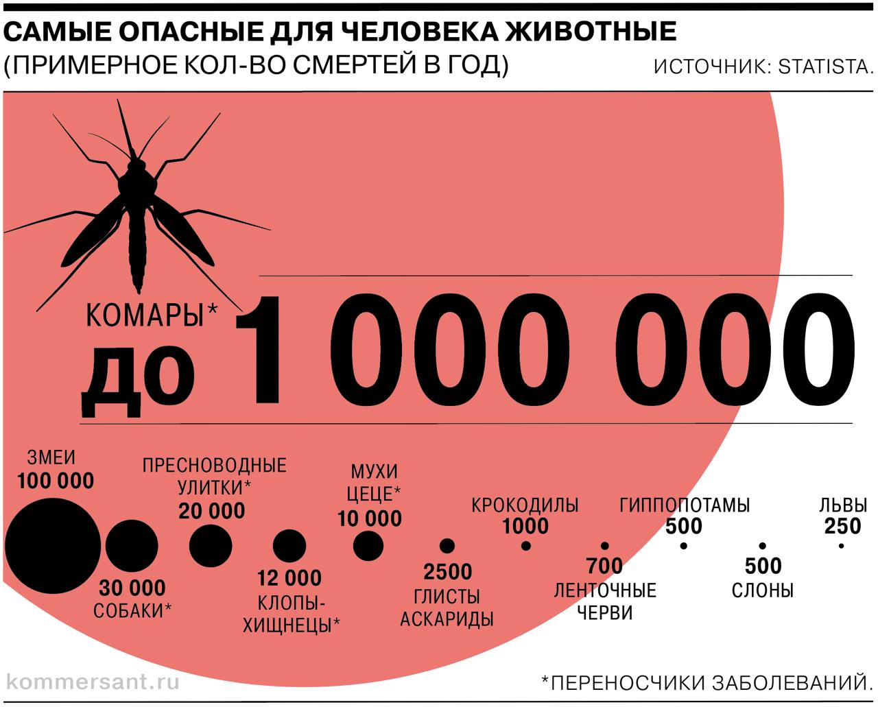 Сегодня Всемирный день комара — несмотря на свою маленькость, насекомые возгл | Новости  / BWeek News