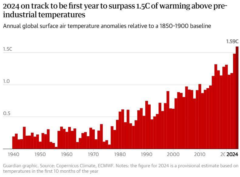2024 год станет самым жарким за всю историю наблюдений | Новости  / BWeek News