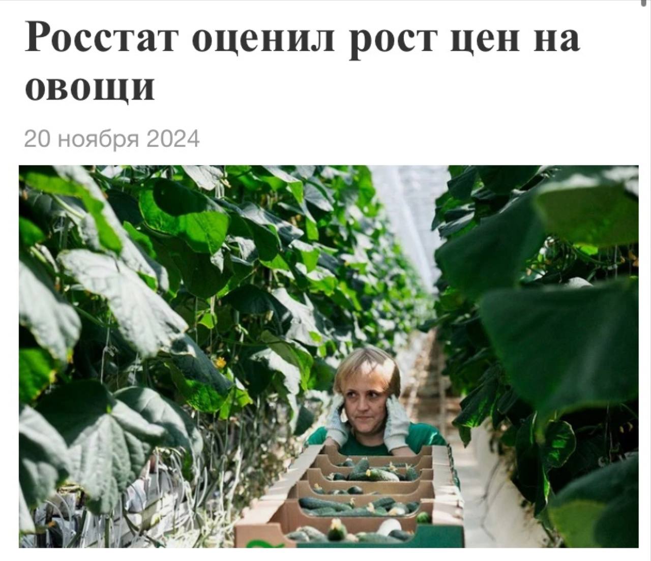 В России выросли цены на овощи | Новости  / BWeek News