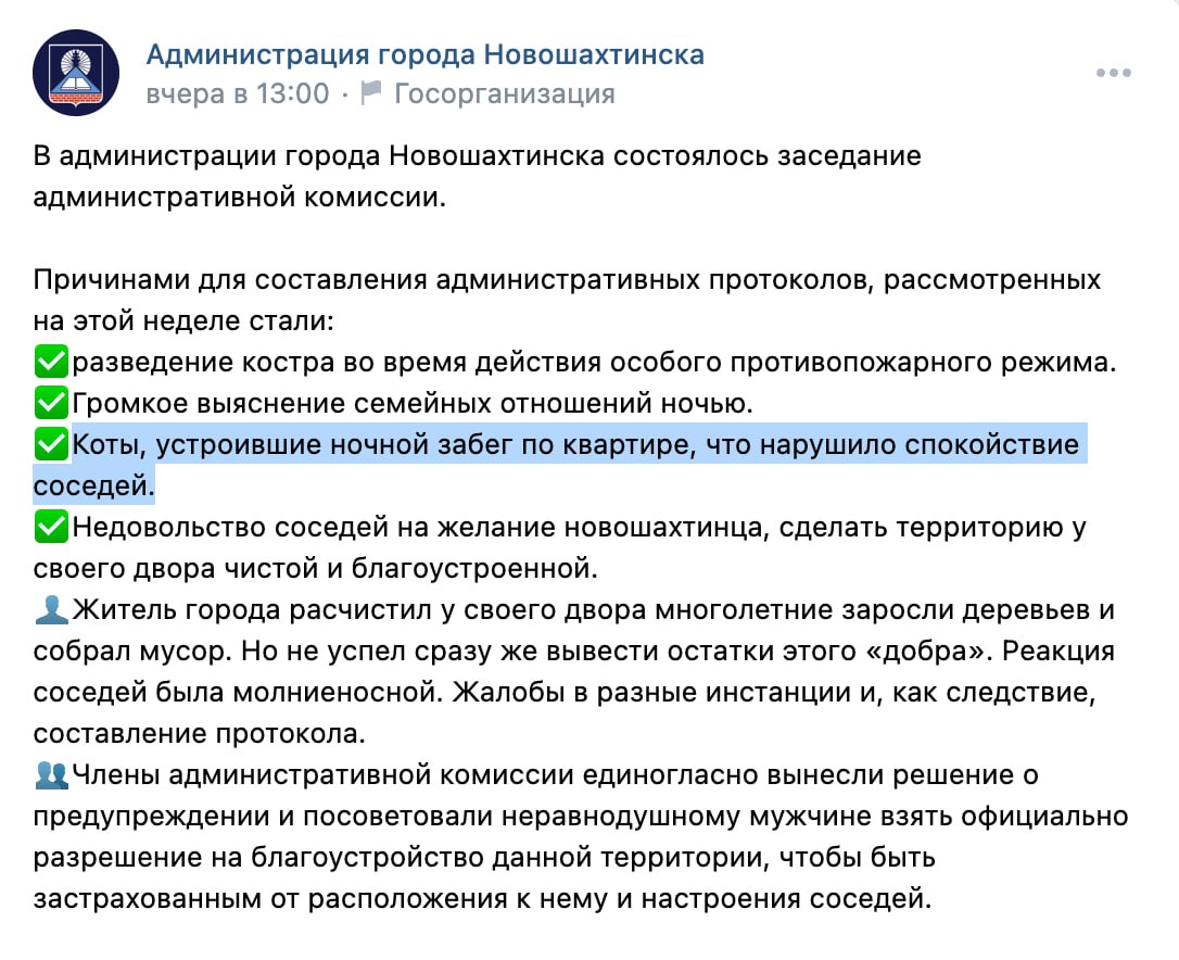 Мужчину оштрафовали за ночные гонки своих котов | Новости  / BWeek News