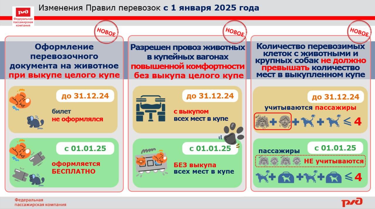 Путешествия с питомцами стали проще | Новости  / BWeek News