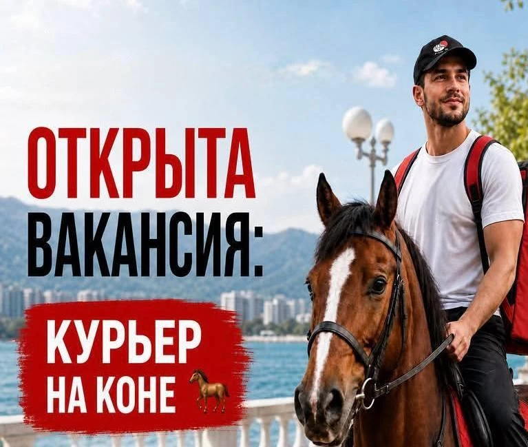 В Геленджике начали искать курьера на коне из-за перебоев с бензином и очеред | Новости  / BWeek News