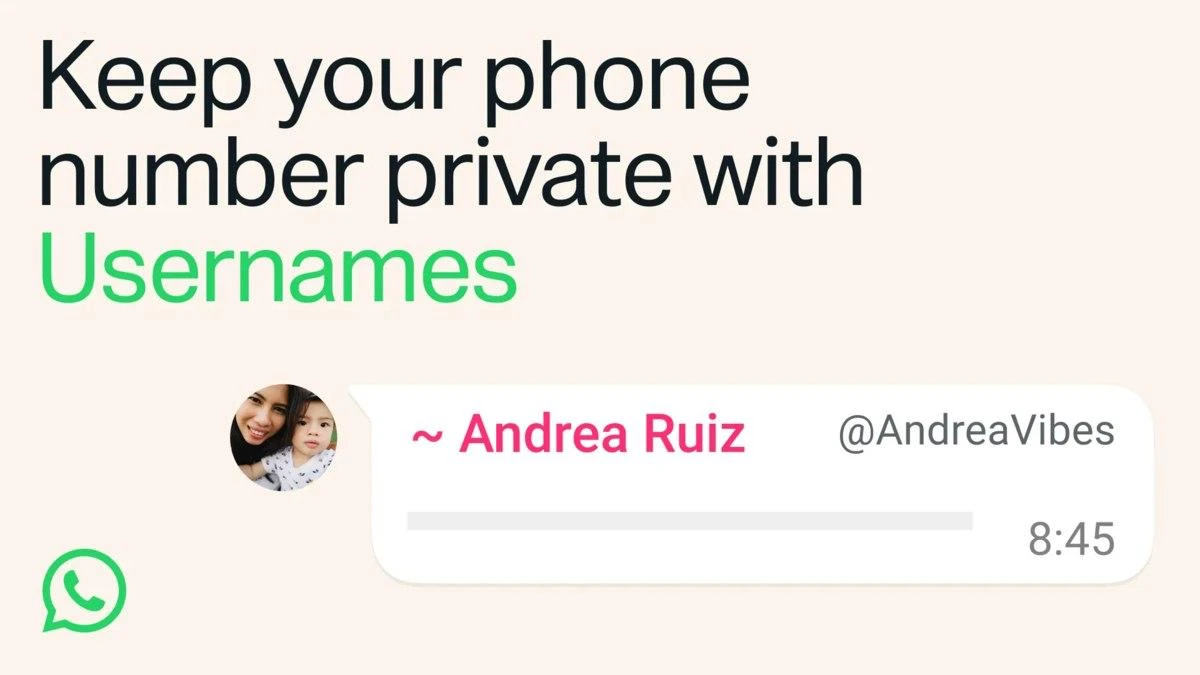 WhatsApp (принадлежит Meta, которая признана в России экстремистской и запрещ | Новости  / BWeek News