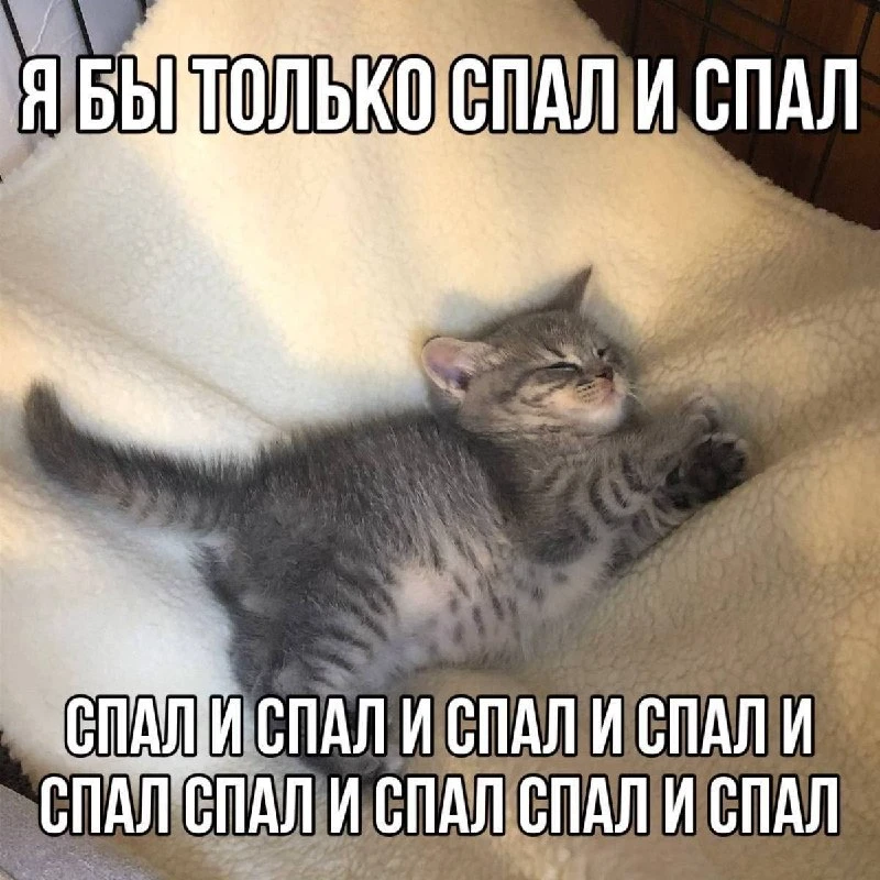 Сон дольше 8 часов ускоряет СТАРЕНИЕ — учёные провели исследования и выявили... | Новости  / BWeek News