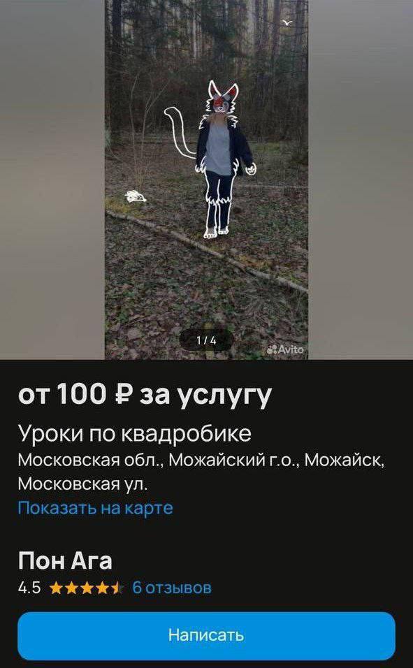 Еще один тренинг: всего за сотку рублей бизнесмен с Авито научит вас вести се | Смехотерапия