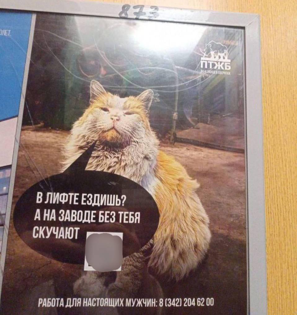 Урок рекрутинга для настоящих мужчин | Смехотерапия
