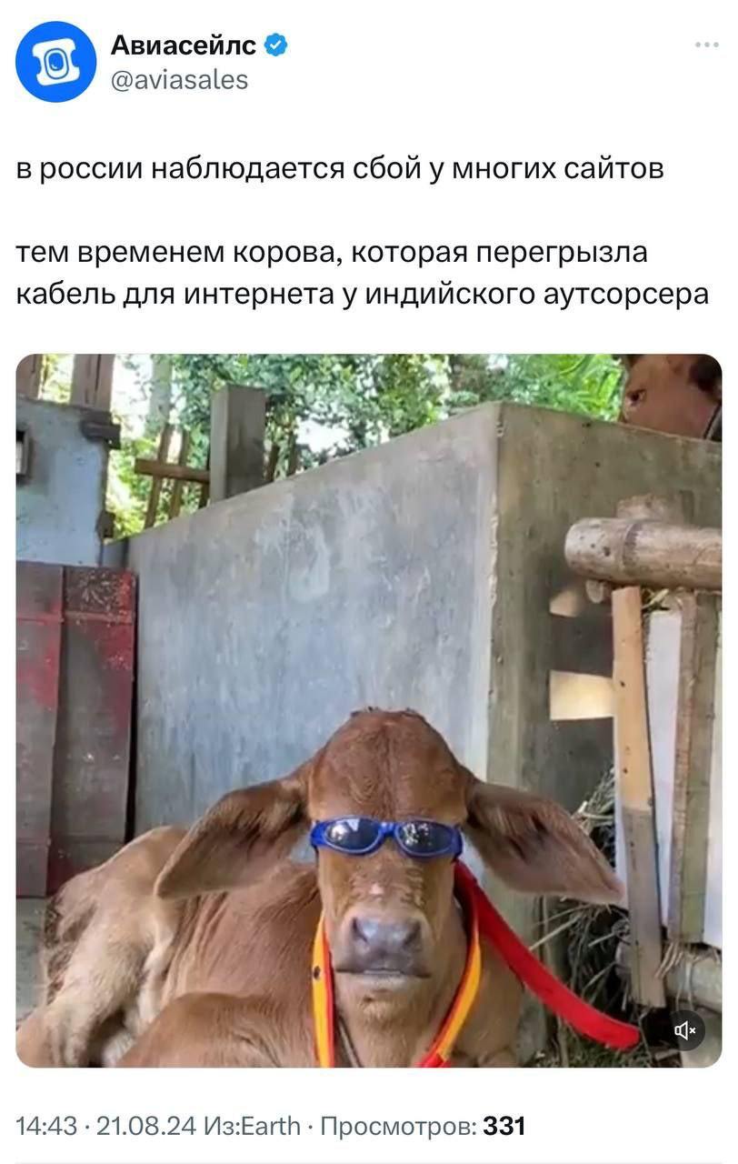 Сммщики авиасейлс не упускает ни единого инфоповода, включая даже те, которые | Смехотерапия
