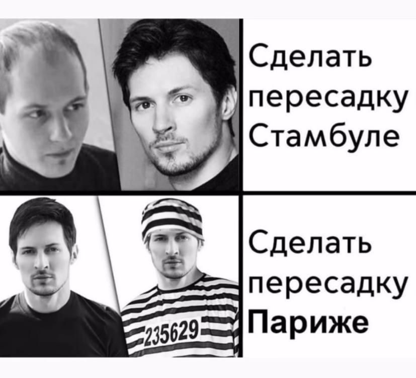 Выбираем пересадку с умом | Смехотерапия
