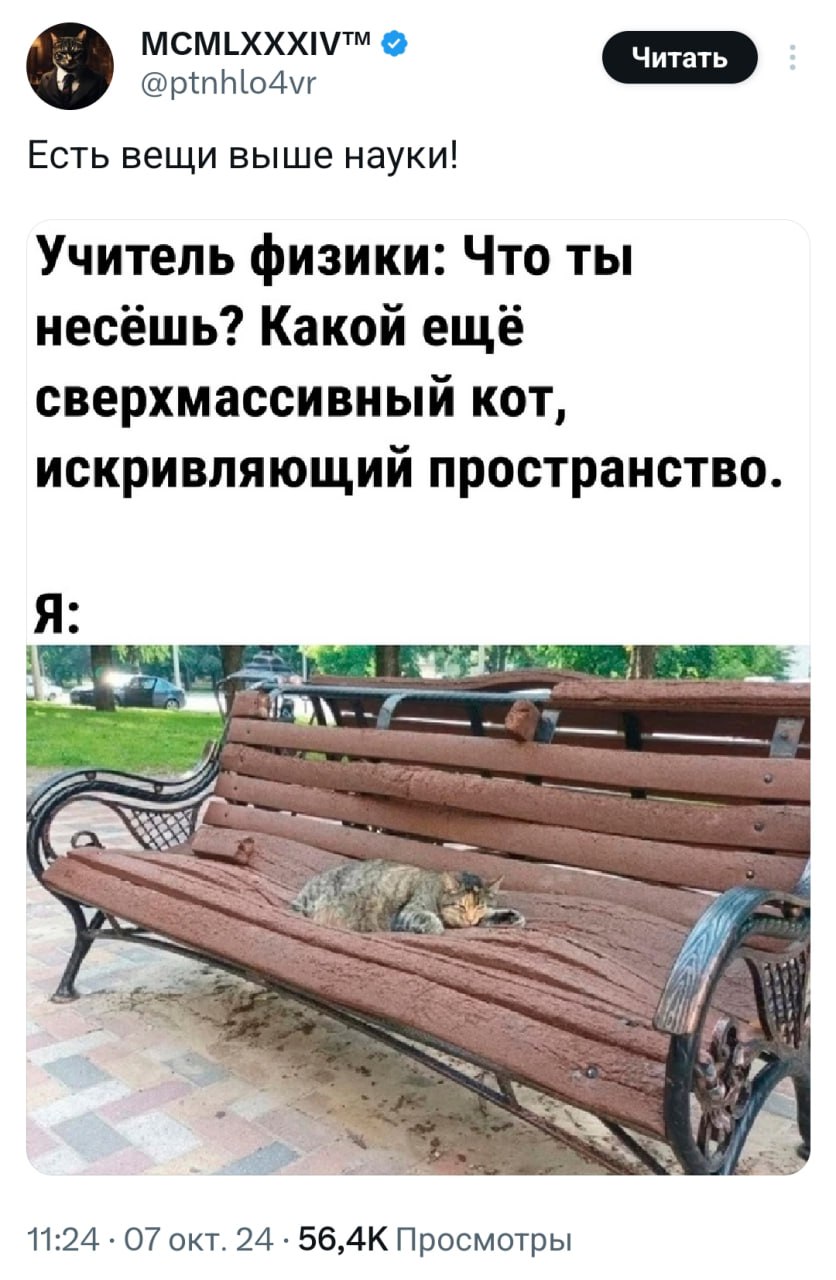 Наука не в состоянии объяснить сложные кото-явления | Смехотерапия