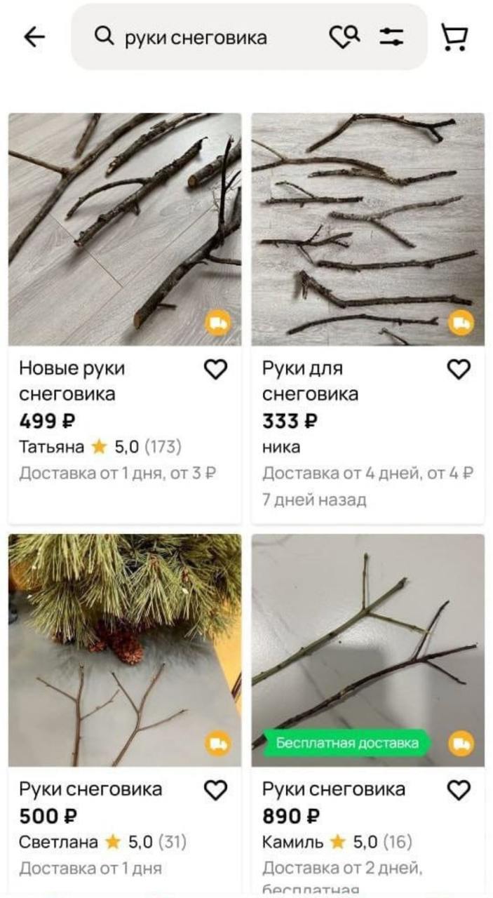 Предприимчивые россияне нашли способ монетизировать зиму: они продают ветки и | Смехотерапия
