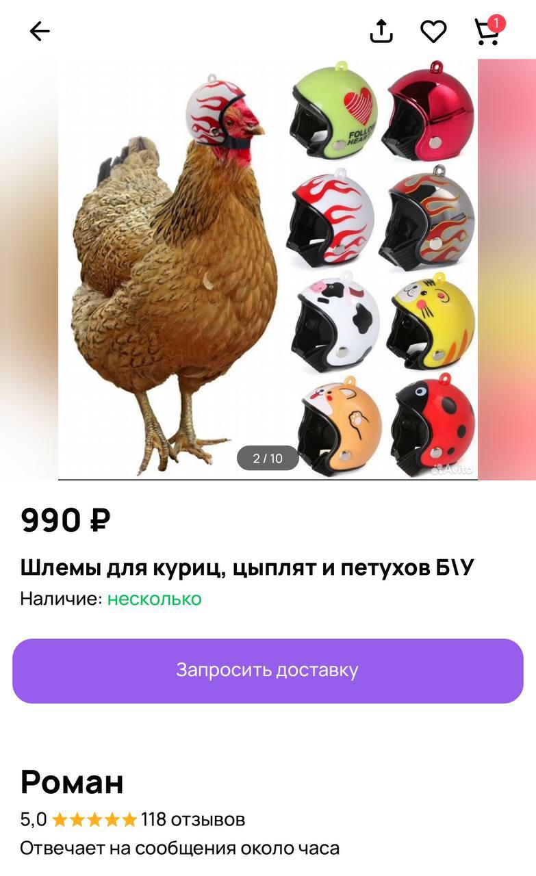 На просторах досок объявлений найден гений, который поломал законы Дарвина | Смехотерапия