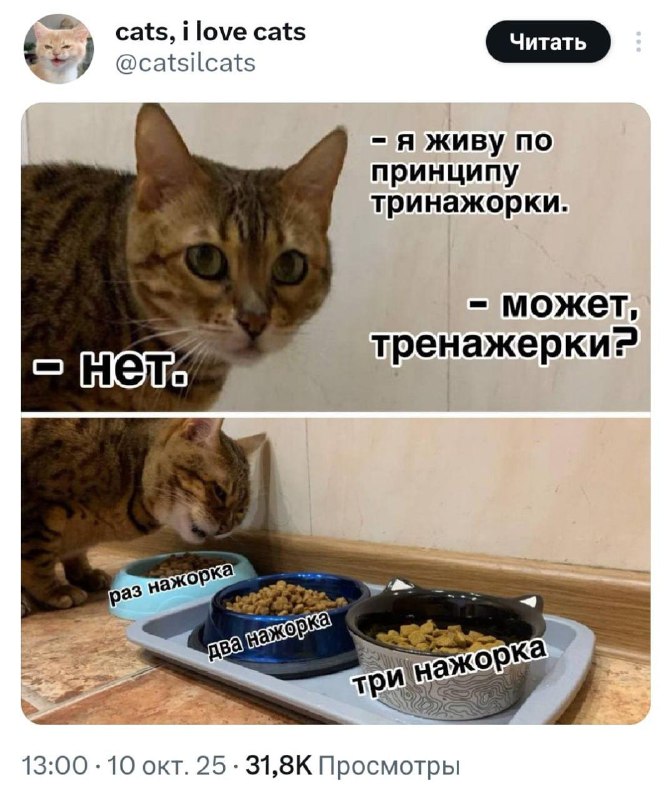 Именно этим сегодня и займемся | Смехотерапия