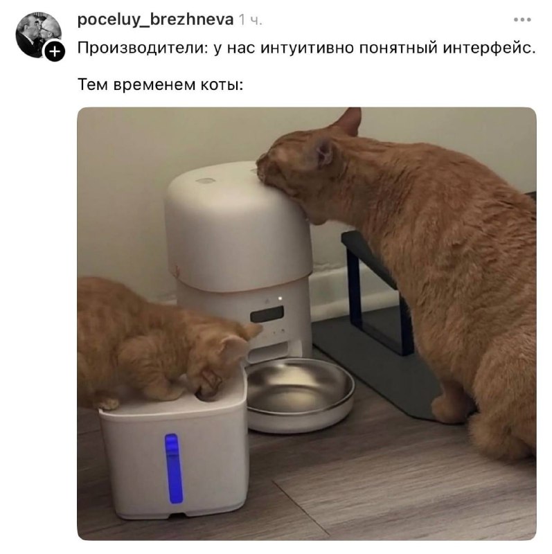 Кормушки отправляются на доработку | Смехотерапия