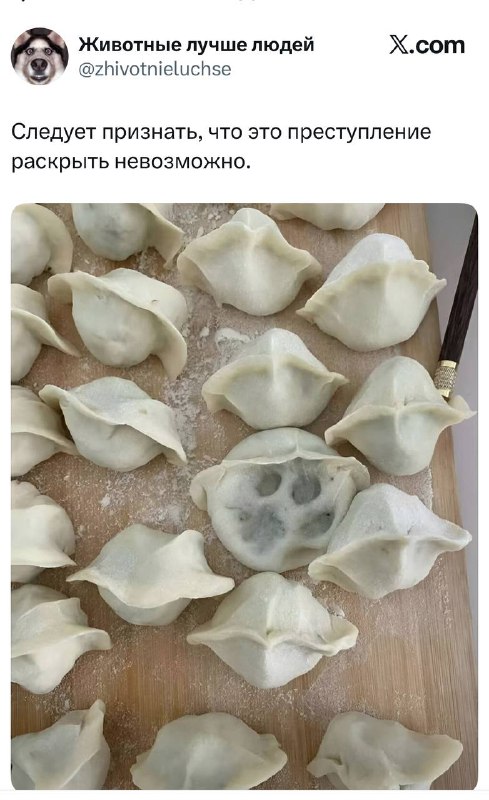 В Твиттере произошло самое сложное преступление века | Смехотерапия