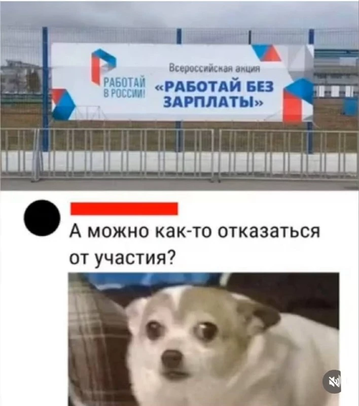 С зарплатой-то любой дурак может, а ты попробуй поработать без неё | Смехотерапия