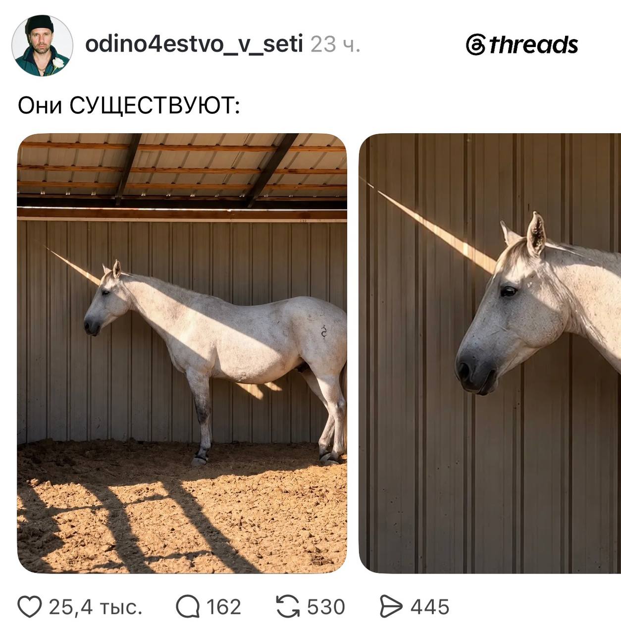 В соцсетях доказали, что единороги СУЩЕСТВУЮТ, пруфы ниже: 😮 | Смехотерапия