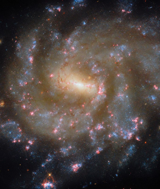 На новом фото телескопа Hubble запечатлена спиральная галактика NGC 685, нахо | Про космос