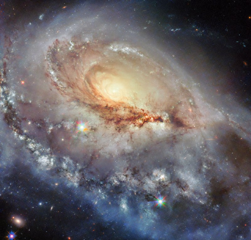 Галактика NGC 1961 находится в 190 миллионах световых лет от нас, в созвездии | Про космос